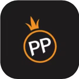 pp 电子